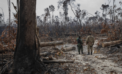 Inspectors inspect deforestation in the municipality of Apuí, in the south of the state of Amazonas.