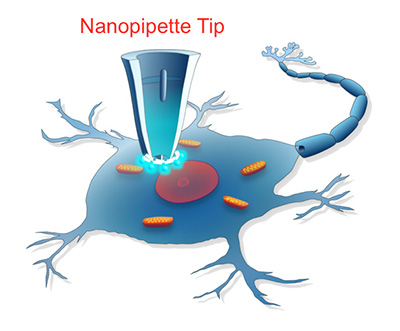 Illustration of a nanopipette tip. 